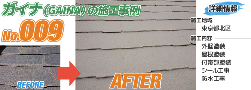 東京都北区戸建住宅の屋根塗装にガイナを使った施工事例
