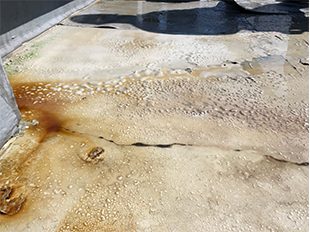 東京都足立区（マンション） 屋上防水工事 施工前