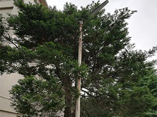 埼玉県 鉄部・外階段塗装 施工前