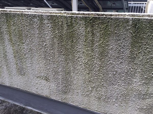 東京都世田谷区 その他の工事 施工前