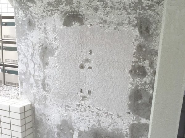 東京都羽村（アパート） その他の工事 施工前