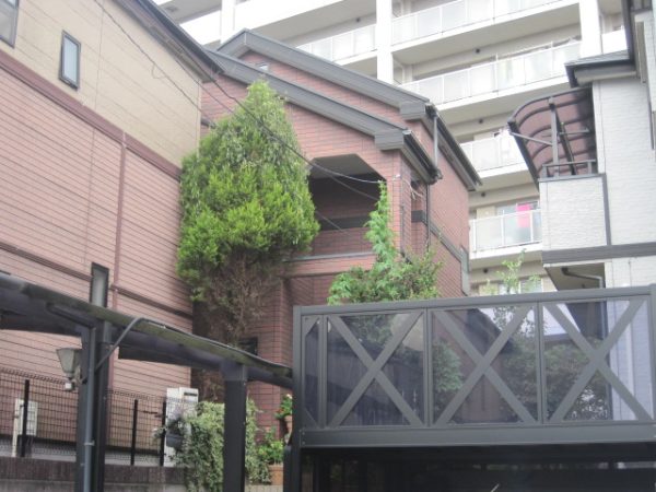 千葉県柏市 屋根工事 現場写真