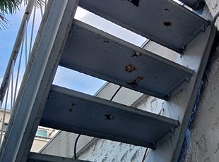 東京都目黒区(戸建て) 鉄部・外階段塗装 施工前